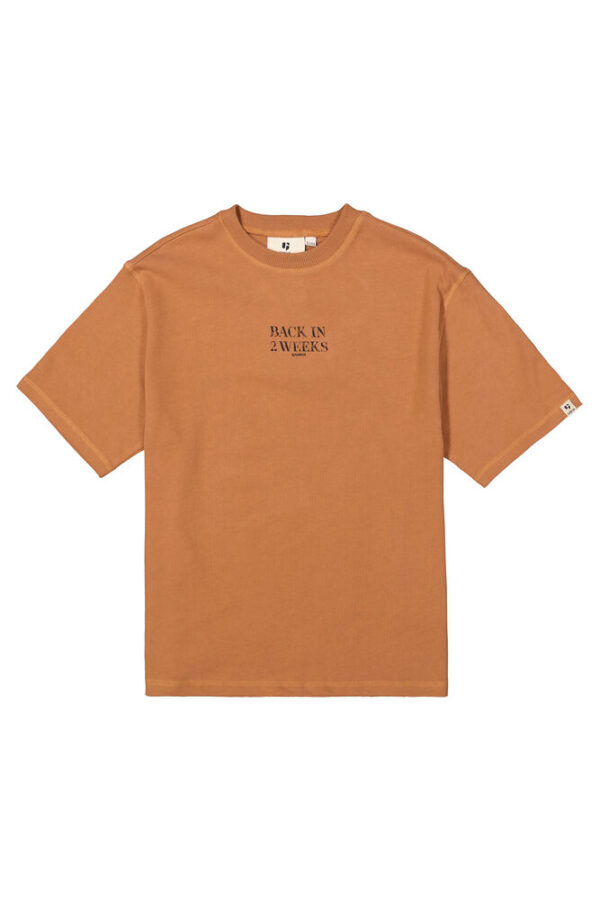 Camiseta marrón