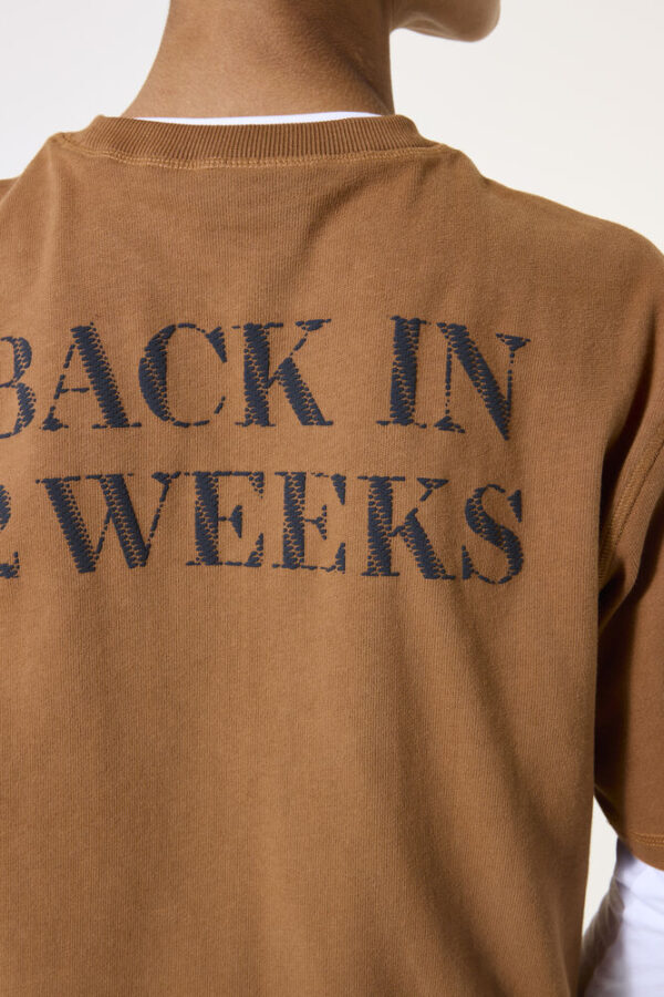Camiseta marrón