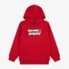 Sudadera con capucha - urban red