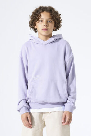 n263661-6736-onmodel-front-500-dd66305f Sudadera lila
