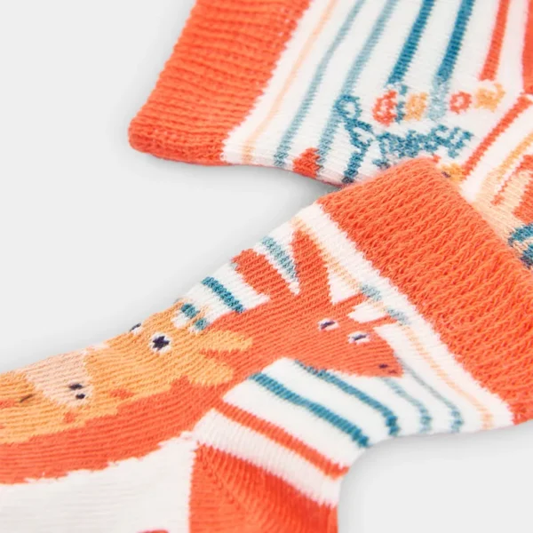 Pack calcetines de bebé