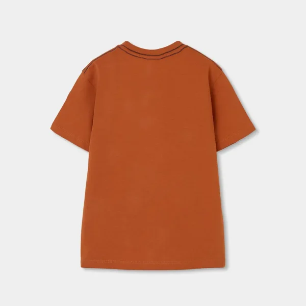 5331577457_b Camiseta punto de niño