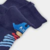 6930751209_d Pack calcetines de niño