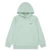 8EK422-FAF_F_F SUDADERA MINI BATWING PULL OVER HOO